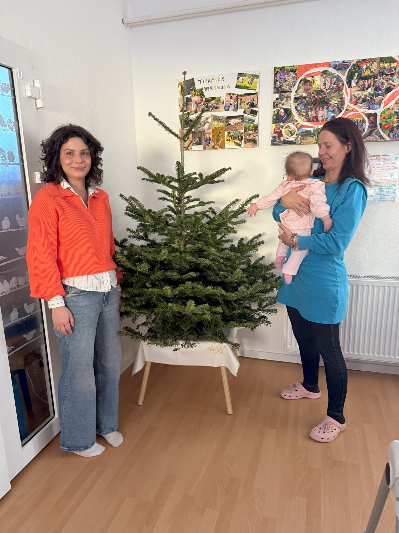 Weihnachtsbaumspenden …